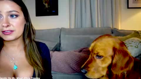 Lily online show from 21, 2, 2025