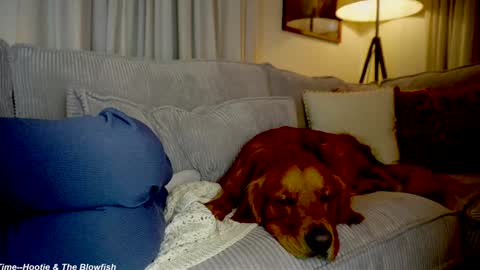 Lily online show from 15, 9, 2025