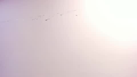 Xime  online show from 22, 10, 2025