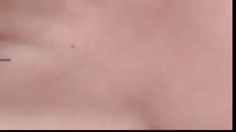 xinbao799322 online show from 14, 11, 2025