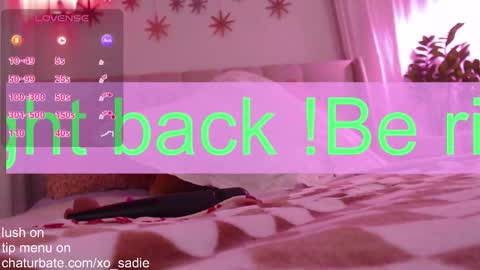 Snapshot of xo_sadie chatting on 2, 2, 2026 Xo Sadie online show from 2, 2, 2026