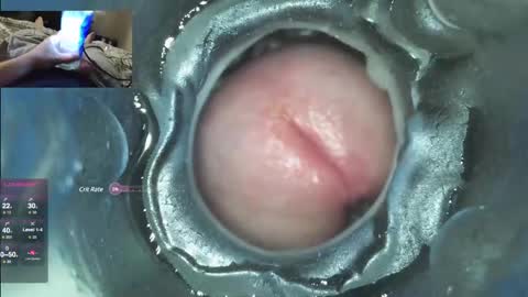 Snapshot of xoxowtf chatting on 7, 12, 2024 xoxowtf online show from 7, 12, 2024