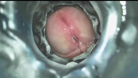 Snapshot of xoxowtf chatting on 16, 12, 2024 xoxowtf online show from 16, 12, 2024