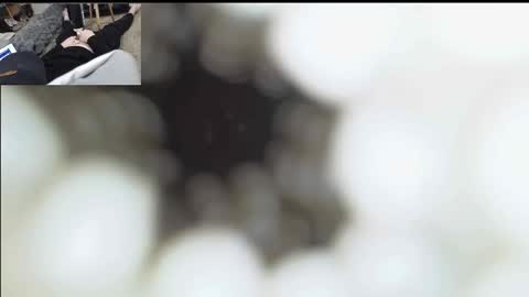 Snapshot of xoxowtf chatting on 11, 1, 2026 xoxowtf online show from 11, 1, 2026