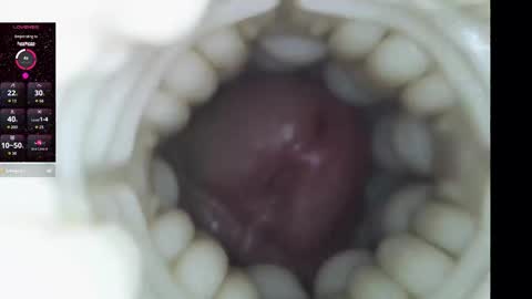 Snapshot of xoxowtf chatting on 9, 2, 2026 xoxowtf online show from 9, 2, 2026