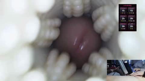 Snapshot of xoxowtf chatting on 2, 3, 2026 xoxowtf online show from 2, 3, 2026