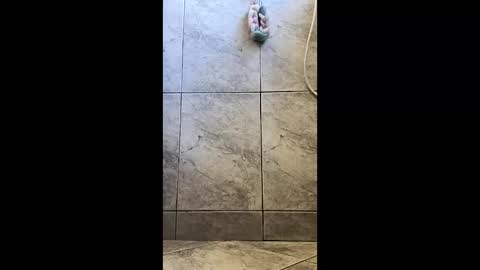 xviktorbr online show from 26, 3, 2026