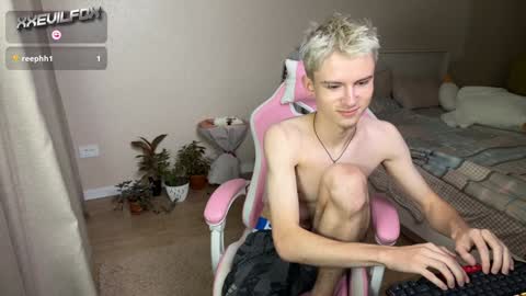 Snapshot of xxevilfox chatting on 2, 12, 2024 Fox online show from 2, 12, 2024