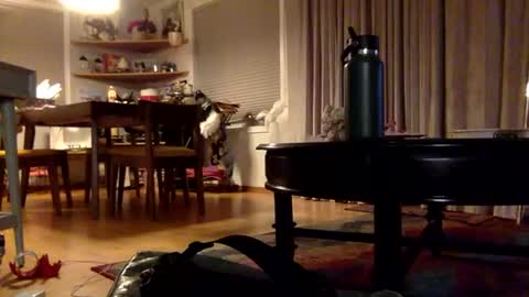 yayalala online show from 2, 12, 2024