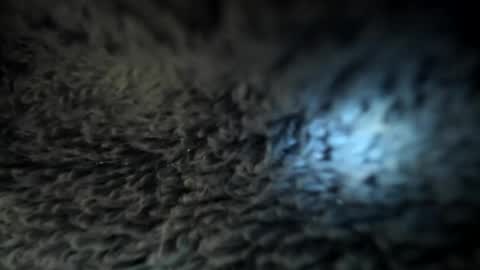 Danielle online show from 5, 1, 2025