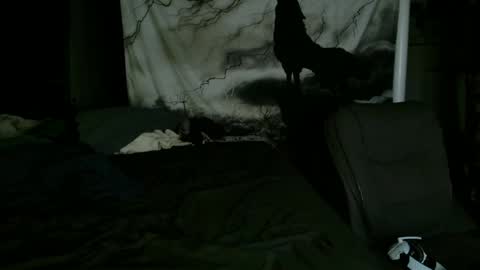 xxxjrstrokesxxx online show from 25, 1, 2025