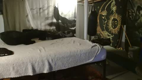 xxxjrstrokesxxx online show from 20, 9, 2025