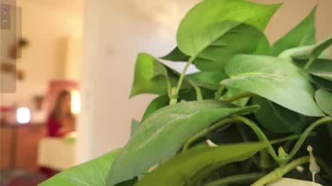 Snapshot of xxxoka chatting on 6, 3, 2025 Xxxoka online show from 6, 3, 2025