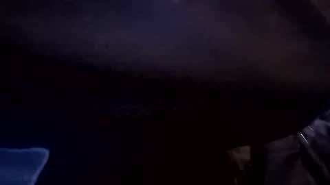 Xzbib online show from 17, 12, 2025