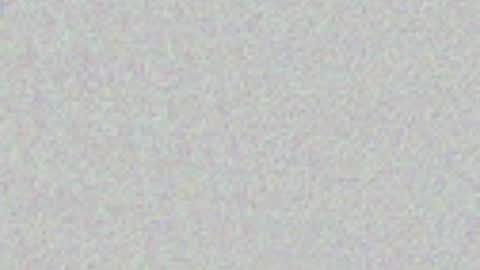 y_sticky online show from 12, 4, 2026