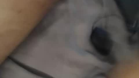 yallayalla1806 online show from 18, 11, 2025