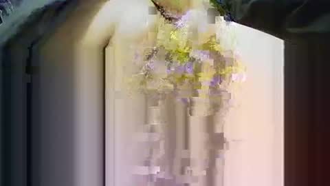 yangolox3 online show from 14, 11, 2025