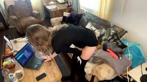 yanyanpixie online show from 17, 12, 2025