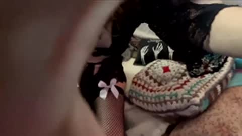 yanyanpixie online show from 19, 12, 2025