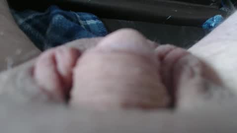 yellowfolderbandit online show from 20, 3, 2026