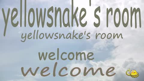 Snapshot of yellowsnakes chatting on 30, 9, 2025 . y e l l o w s n a k e s . online show from 30, 9, 2025