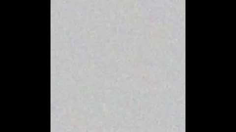 .     y e l l o w s n a k e s       . online show from 24, 11, 2025