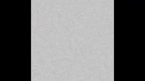 .     y e l l o w s n a k e s       . online show from 4, 12, 2025