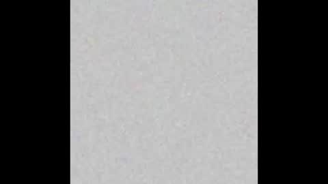 .     y e l l o w s n a k e s       . online show from 5, 2, 2026