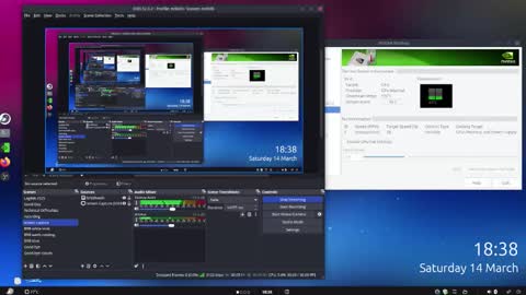 .     y e l l o w s n a k e s       . online show from 15, 3, 2026