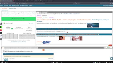 .     y e l l o w s n a k e s       . online show from 20, 3, 2026