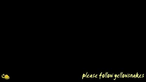 .     y e l l o w s n a k e s       . online show from 26, 3, 2026