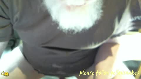 .     y e l l o w s n a k e s       . online show from 19, 4, 2026