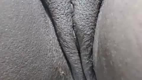 yirily online show from 21, 3, 2026