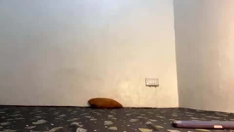 fin online show from 21, 4, 2026