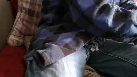 kindahorny online show from 7, 4, 2026