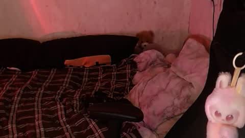 your_8a8y online show from 18, 11, 2025