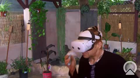 Sophiestar online show from 1, 3, 2025