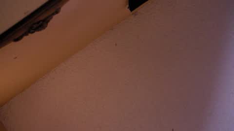 Sophiestar online show from 18, 10, 2025