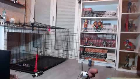 Owned by Hell On Heels online show from 19, 2, 2026