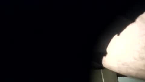 yourexpirementmale online show from 26, 7, 2026
