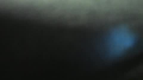 Evelline online show from 11, 1, 2025