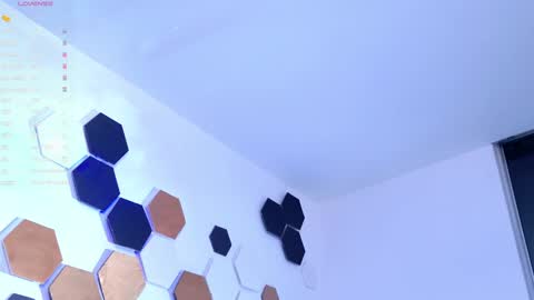 Snapshot of yulianpereira25 chatting on 1, 3, 2025 yulian 2811 online show from 1, 3, 2025