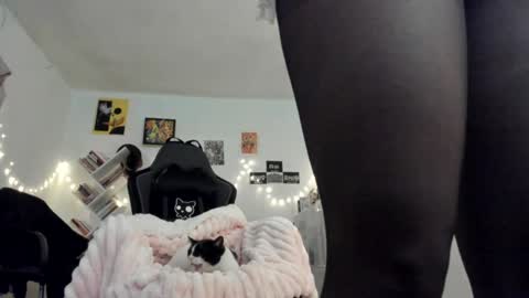 Snapshot of yury_sun chatting on 18, 1, 2025 paola online show from 18, 1, 2025