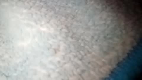 yuyu33333284475 online show from 22, 1, 2025