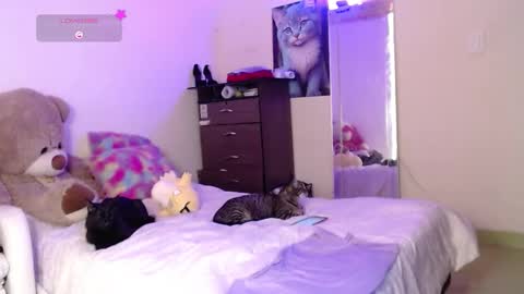 yvonn online show from 31, 10, 2025