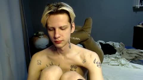 Toshka online show from 7, 12, 2024