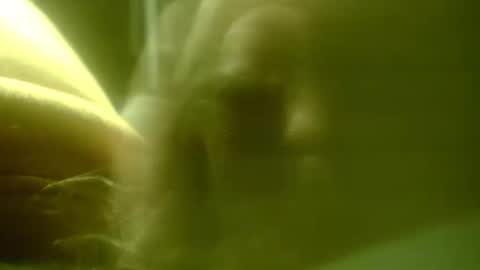 Snapshot of zaboski4 chatting on 25, 2, 2026 zaboski4 online show from 25, 2, 2026