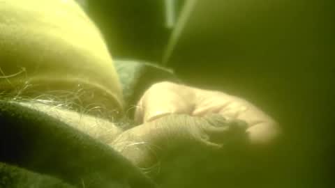 Snapshot of zaboski4 chatting on 26, 2, 2026 zaboski4 online show from 26, 2, 2026