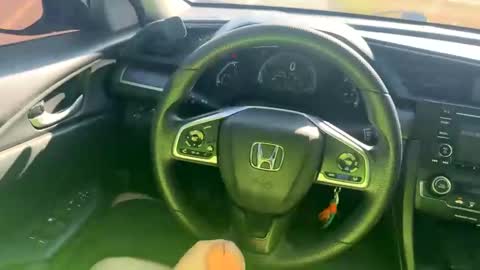 zadddy209 online show from 20, 12, 2024