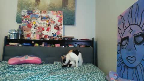 Snapshot of zaddyslilslutbucket chatting on 13, 9, 2025 zaddyslilslutbucket online show from 13, 9, 2025